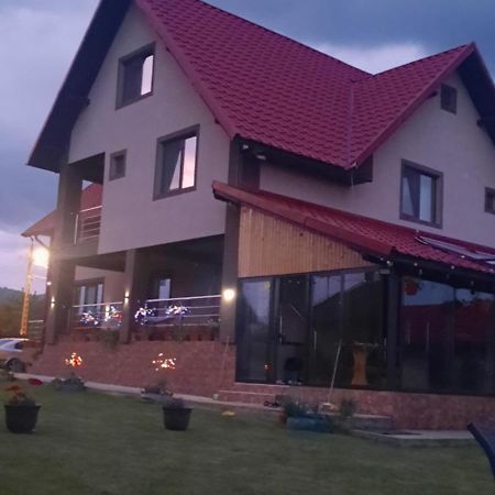 Pensiunea Ana-Maria Polovragi Exteriér fotografie